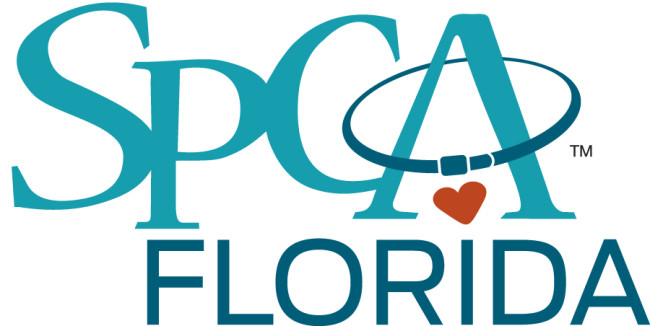 Pet Sitter serving Polk County. Dawn is a member of the SPCA and has been providing home care for animals since 2003 / countryclubcrittersitters.com